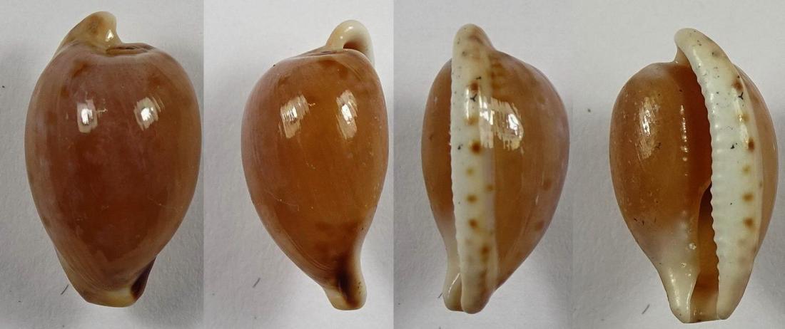 C.mikeharti mikeharti ' nice '